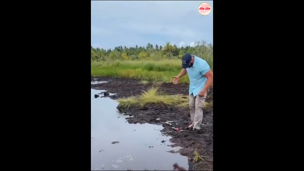 Funny video