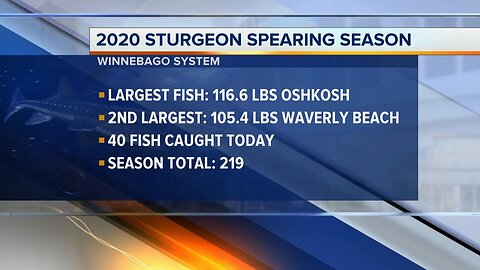 Day 8: Sturgeon Spearing season latest numbers