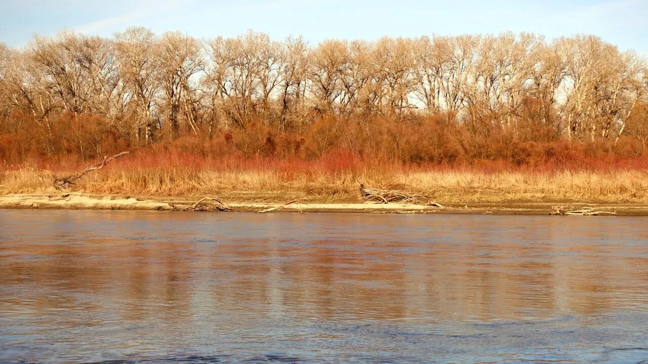 Wildlife of Russia - river 2022 Water Sounds for Sleep or Focus | White Noise Stream