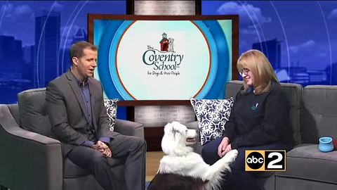 Coventry Dog School