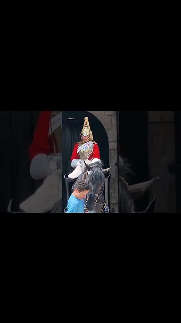 He bumps in the the horse #horseguardsparade