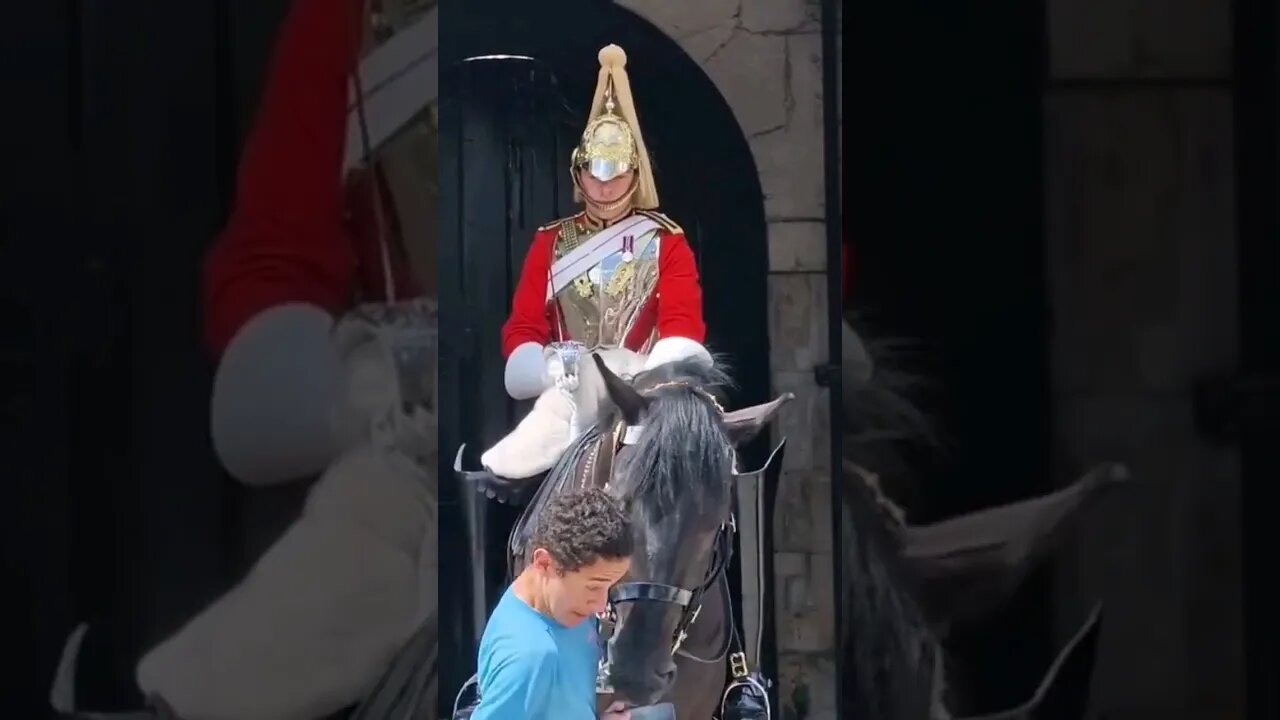 He bumps in the the horse #horseguardsparade
