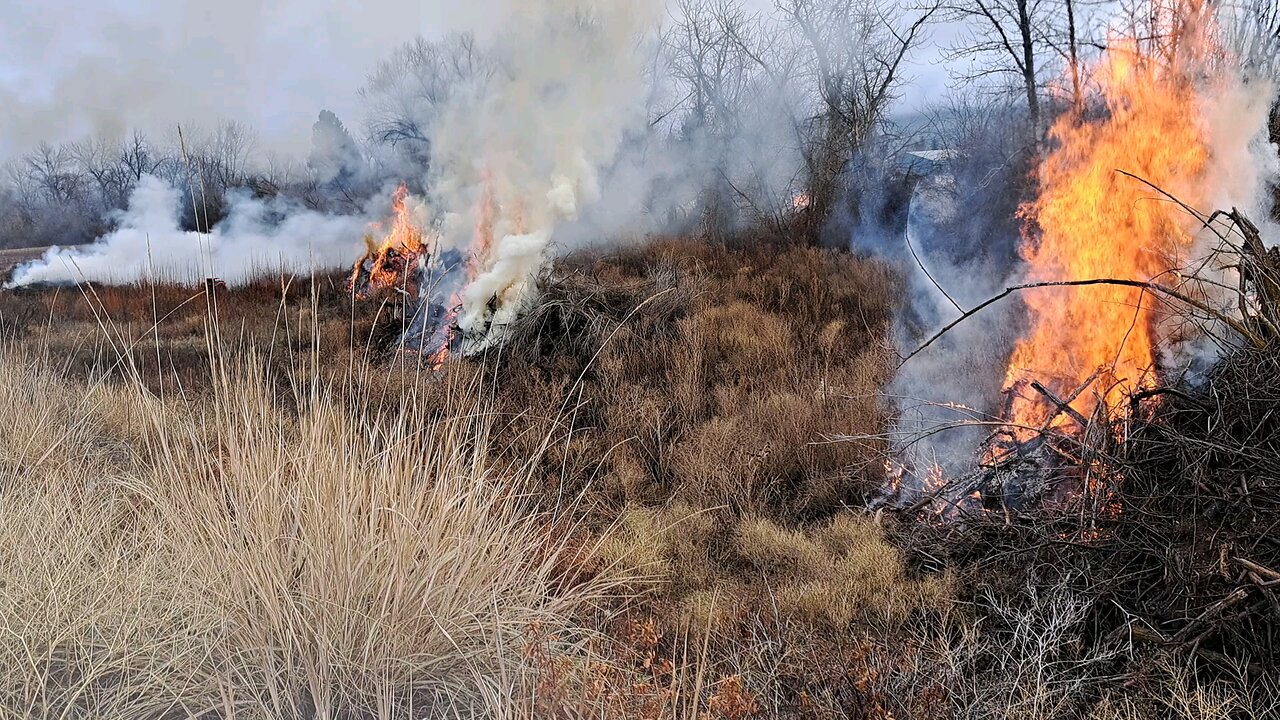 Brush Fire