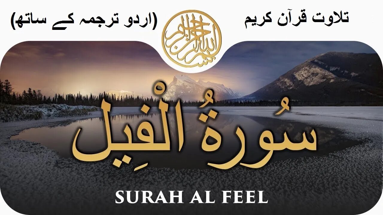 Recition with urdu traslation of Surah Al fil | تلاوت قرآن پاک سورہ اَلْفِيْل اردو ترجمہ کے ساتھ