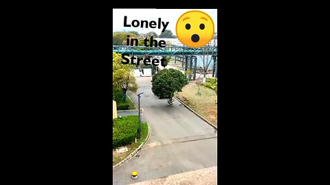 Lonely in Street