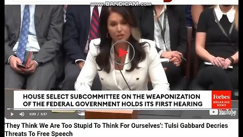 Tulsi Gabbard Decries Threats To Free Speech. 'They Think We Are Too Stupid To Think For Ourselves