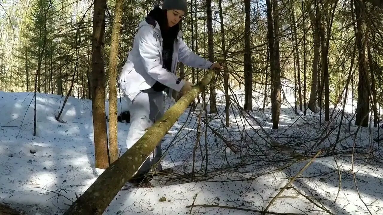 Solo Winter Bushcraft: Overnight in an Elevated Shelter-7