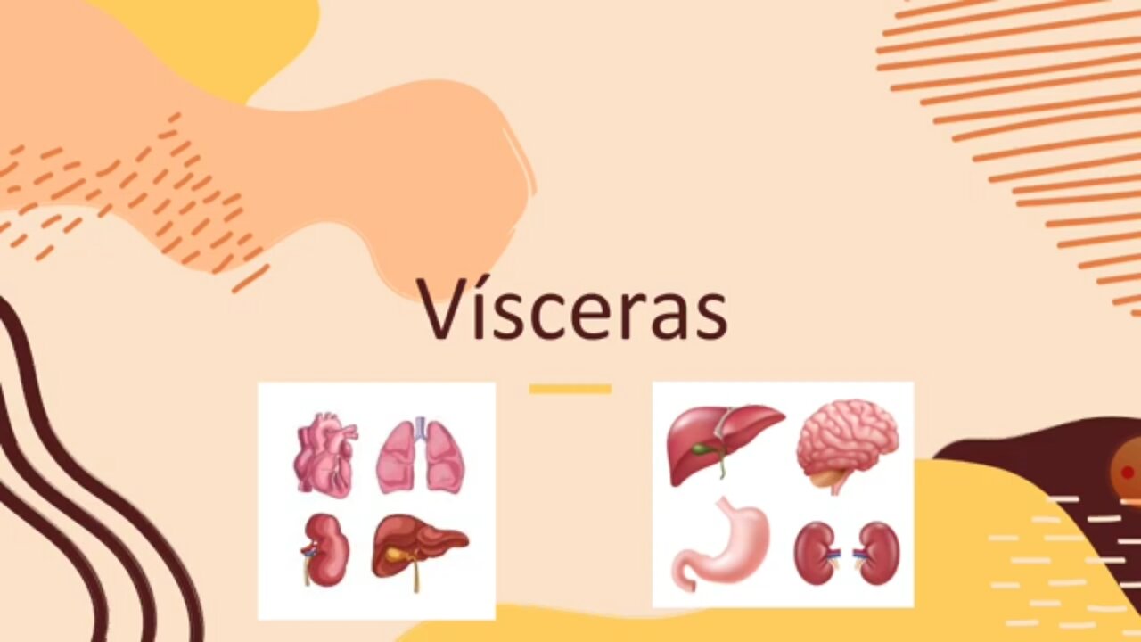 🥩Carnes de órgãos são boas ou ruins para sua saúde🧠💓