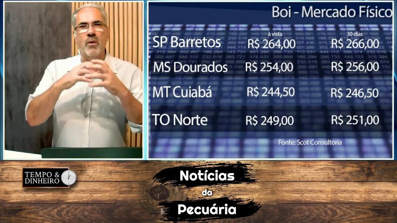 Boi gordo não encontrou piso e padrão China tem média de R$280@