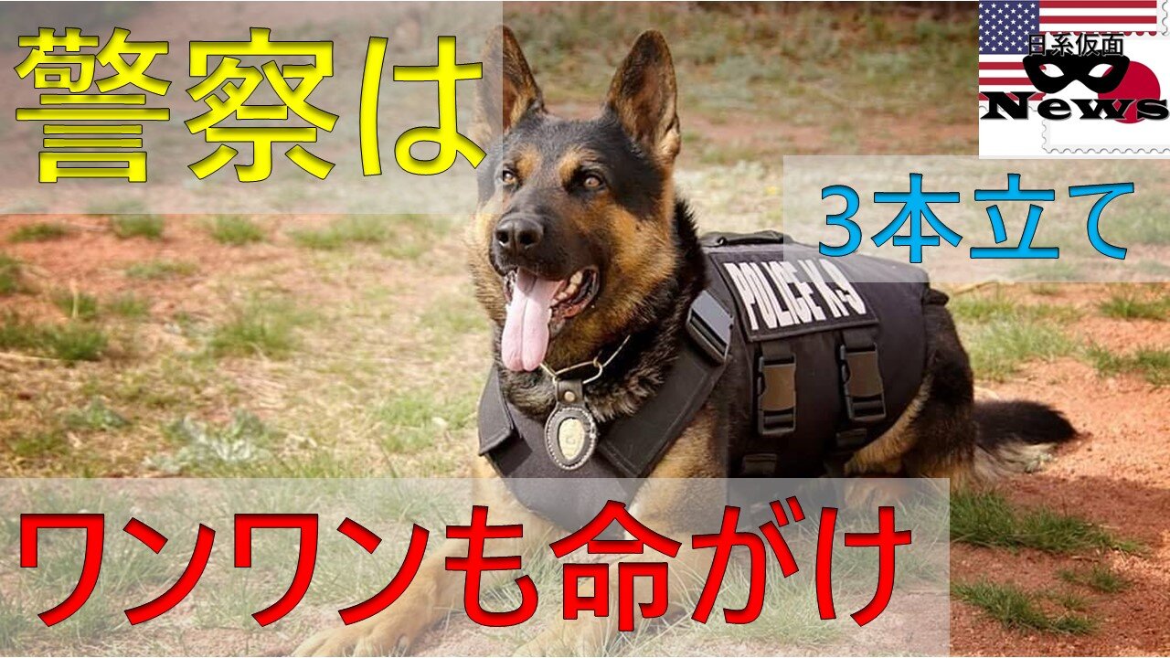 ワンワン危ない！命がけの警察犬3本立て