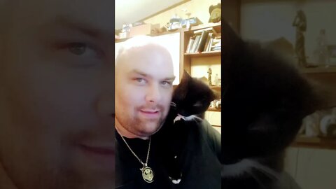 kitty is eating his toes #shorts #shortsvideo #cats #cat