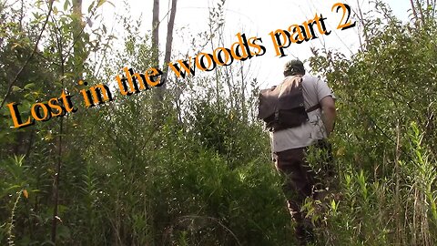 I got lost in the woods part 2