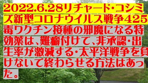 2022.06.28 リチャード・コシミズ新型コロナウイルス戦争４２５