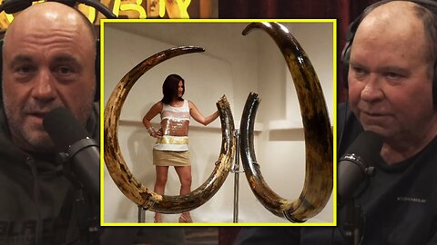 Joe Rogan: 'If Somebody Goes There & Gets Some Tusks, I'll Have You on the Podcast' BONE RUSH?!
