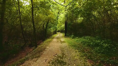 Green Forest- Relaxing Piano Music,Calm your mind and Soul with this Music-Reduce stress and anxiety