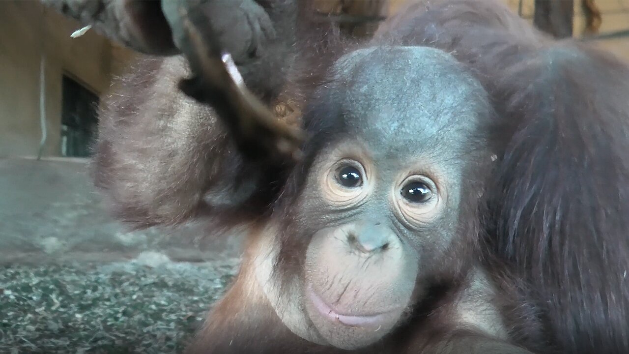 Adorable baby Jim shows his playful side