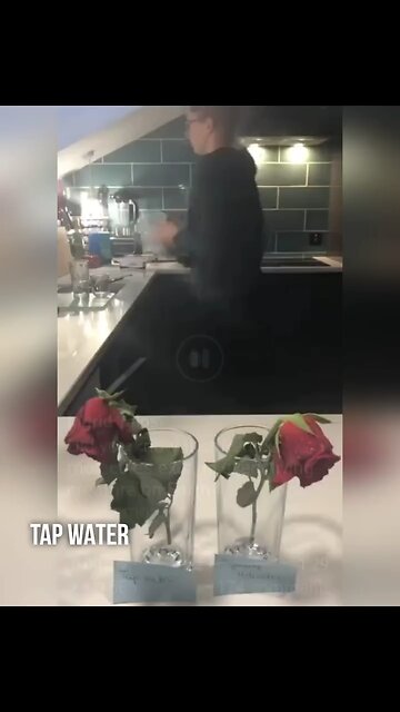 Have you seen THIS? 👀🤯