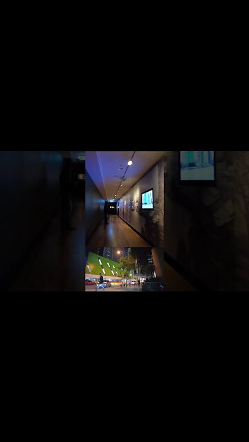 BRISBANE CITY WALKING TOUR EXPERIENCE || QLD - Australia