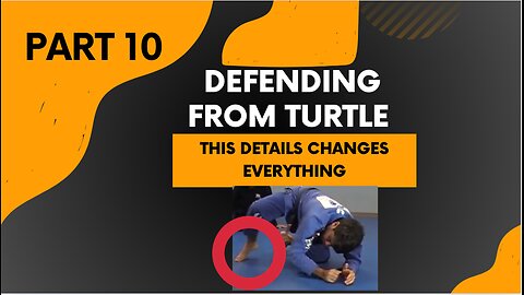 Defending from Turtle (Part 9 of the complete seminar) Peeing Dog into Guard