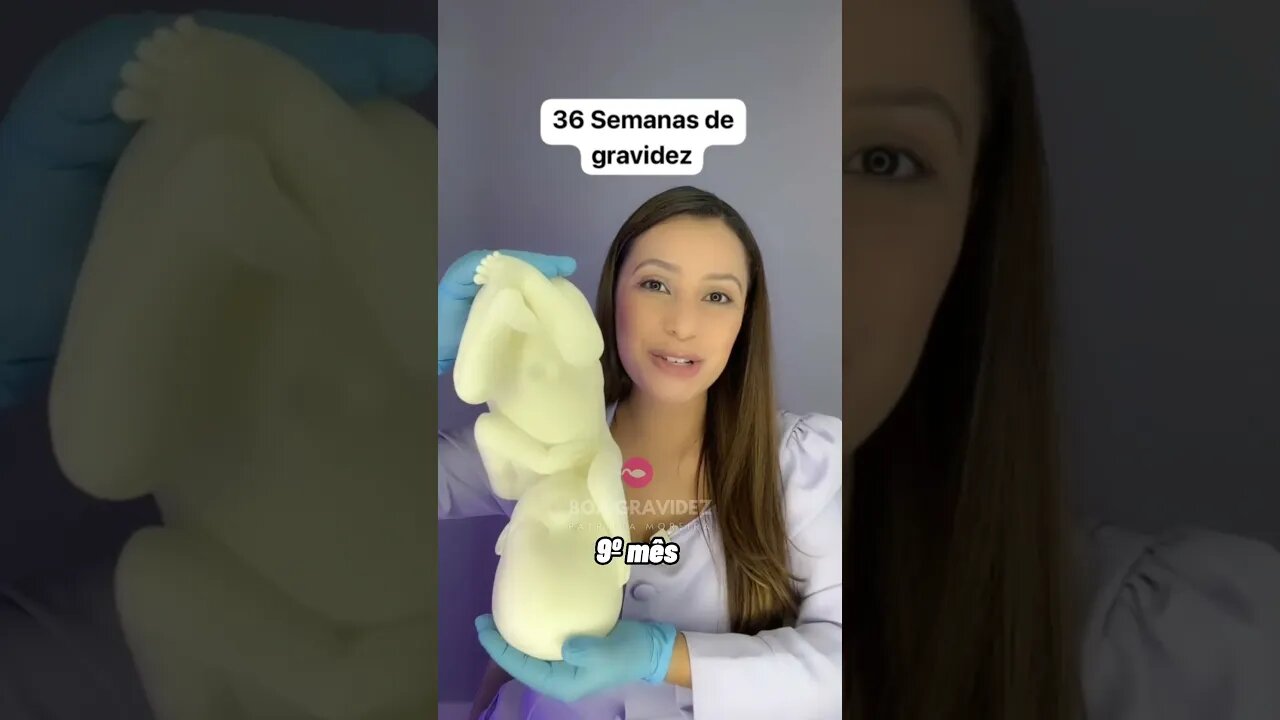 13 a 40 semanas de gravidez