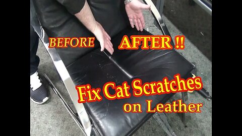 Fix Cat Scratches on a Black Leather Chair