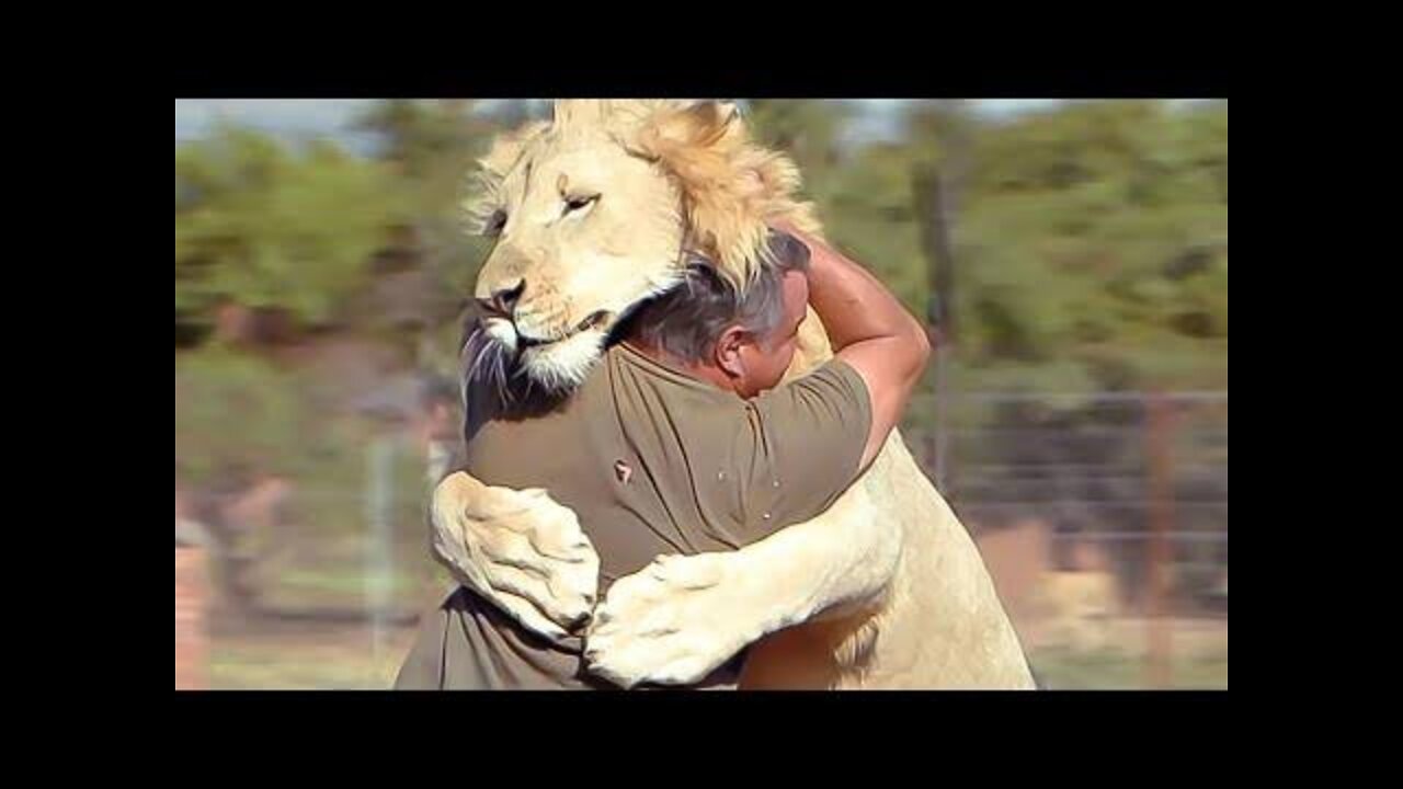 Animals Reunited With Their Owners After Years!