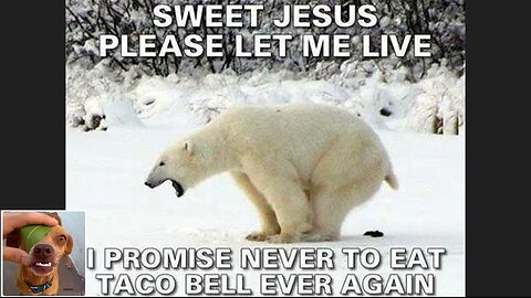 Memes That Will 99.923% Make You Laugh. (e148)