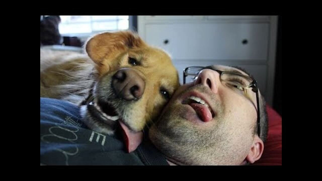 Cute Dogs getting a hug by their owners animals compilation 2018 sweet and lovely