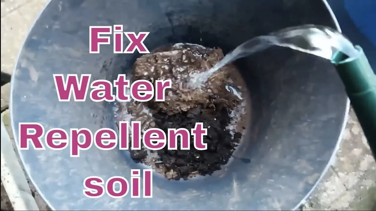 A quick easy fix for hydrophobic soil and compost