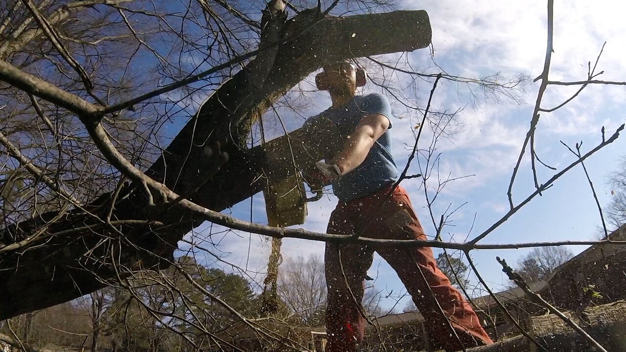 Sawing up broken tree limbs