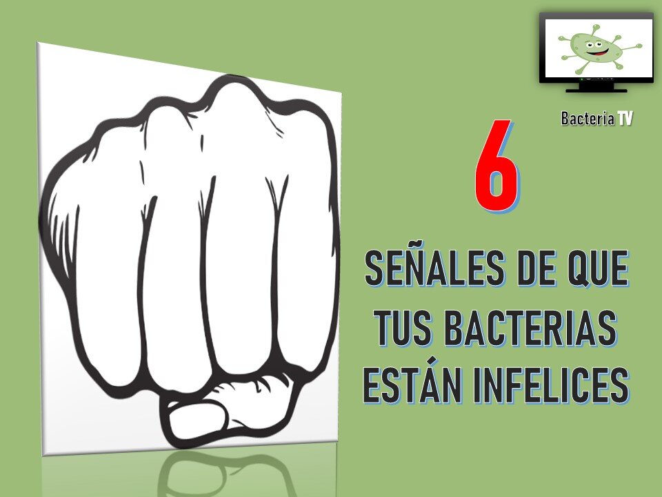 6 SEÑALES DE QUE TUS BACTERIAS ESTÁN INFELICES