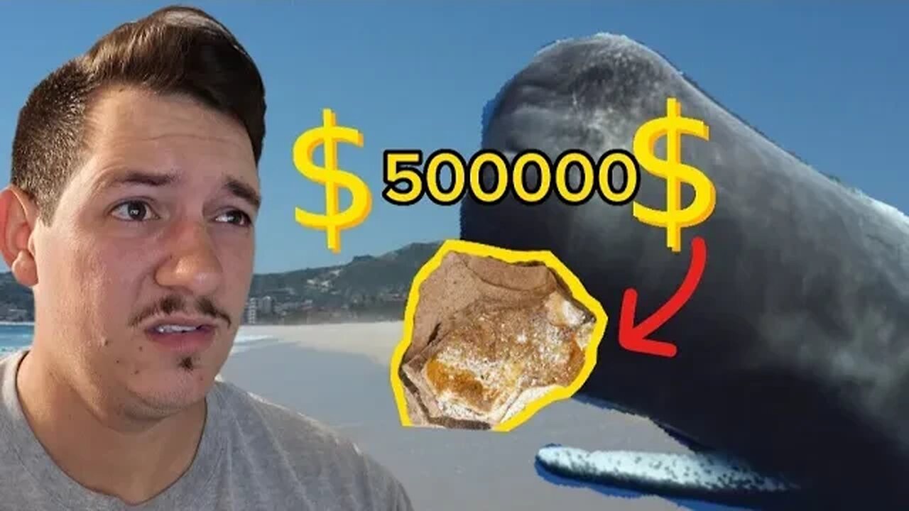 Rare Material that killed Sperm whale could be worth $500000
