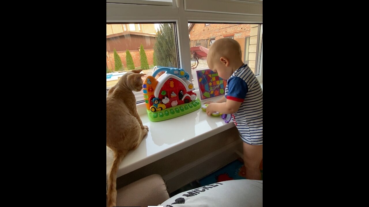 A Cute Baby Playing with His Toys and Cat