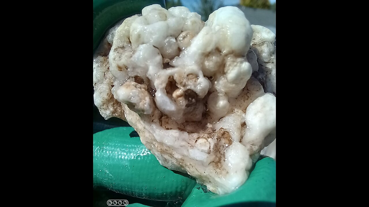 White botryoidal chalcedony?