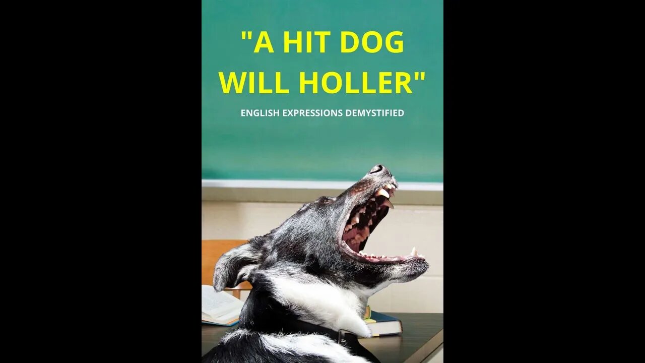 WELL I'LL BE, MAN HIT DOGS HOLLA VERY LOUD, LETS TALK ( RE-UPLOAD )