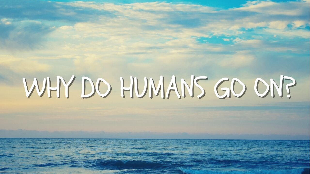 Why Do Humans Go On | Coping Mechanisms