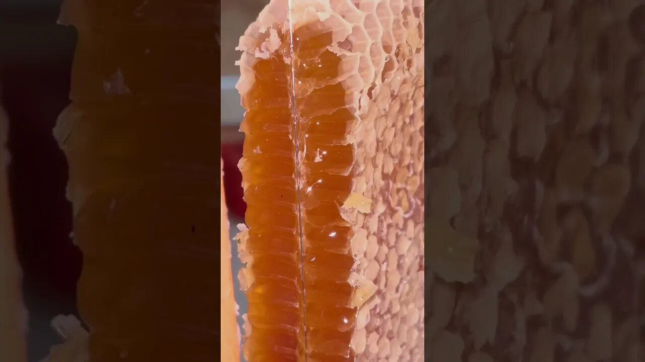 South Australia - Organic Honey Harvest - Honey Comb - ORGANIC ELEMENTS