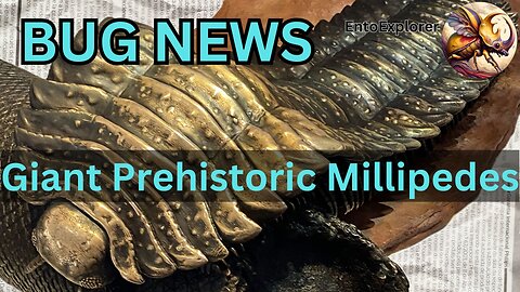 Head of Giant Prehistoric Millipede Found