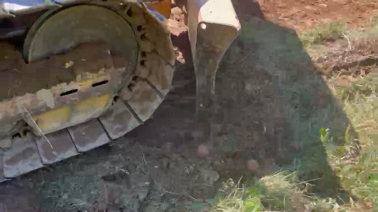 Anyone else dig potatoes with a bulldozer? 🥔