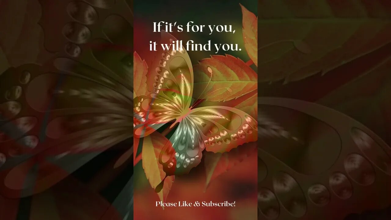 If It's For You