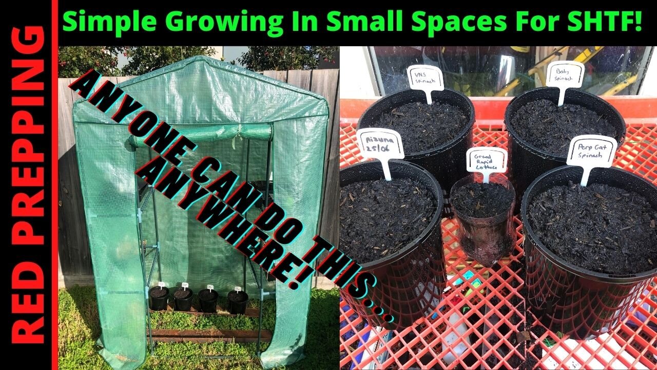 Growing In Small Spaces Made Simple