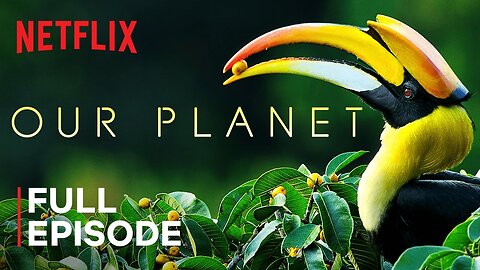 Our Planet Forests FULL EPISODE Netflix Latest Update & Release Date