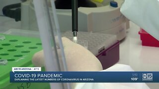 The highest reported cases in Arizona in one day