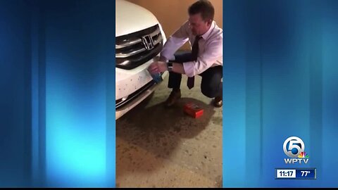 Love bugs invading Florida, but this cleaning hack will keep their guts off your vehicle