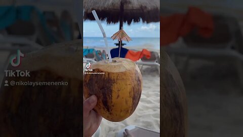 Drinking From Amazing Coconut, Haters Gonna Hate