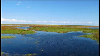 Lake Okeechobee water level falls below 11 feet, lowest in two years