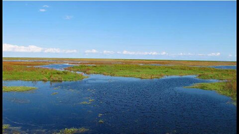 Lake Okeechobee water level falls below 11 feet, lowest in two years