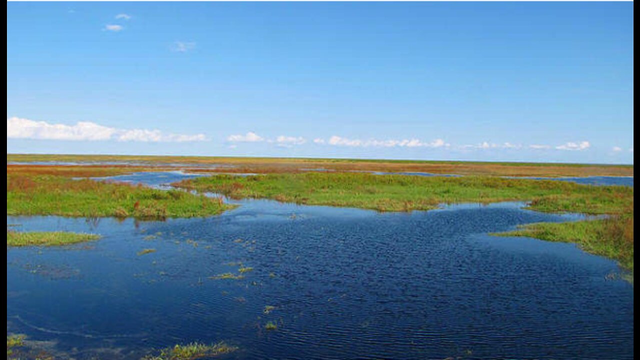 Lake Okeechobee water level falls below 11 feet, lowest in two years