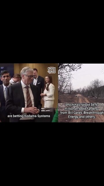 Bill Gates is cutting down millions of trees to "save the earth"