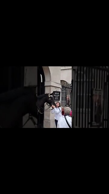 Women takes photos of the Horse poo #horseguardsparade